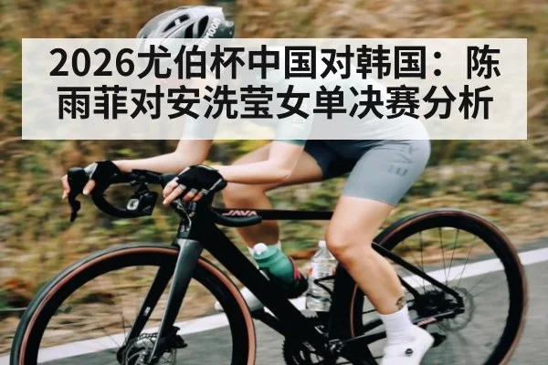 2026尤伯杯中国对韩国:陈雨菲对安洗莹女单决赛分析